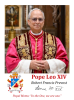 NEW POPE LEO XIV HOLY CARDS - ENGLISH PRAYER CARDS